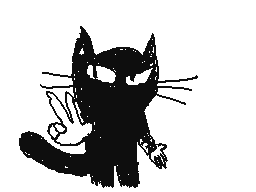gato negro aparece xd