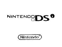 Nintendo DSi Startup