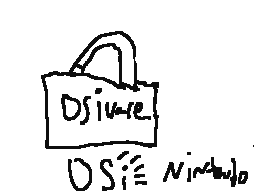 DSI Ware Bag