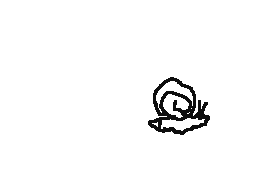 snail