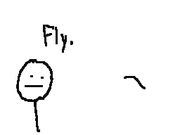 fly.