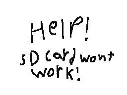 sd card wont work