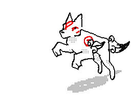 okami run