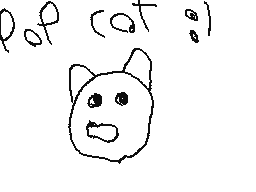 p0p cat