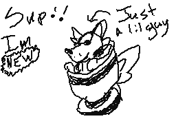 Flipnote by Dsi 