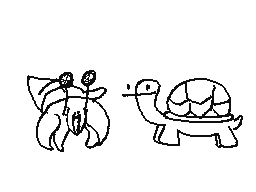 hermit crab and a turtle