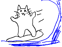 crazy surfing kitty