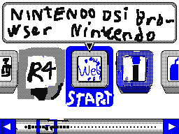 Nintendo DSi Web Browser