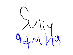 Sully Gaming