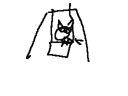 Cat Swing