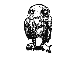 Wet Owl