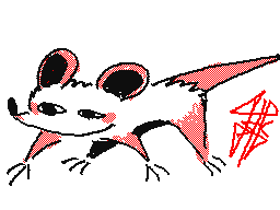 rat