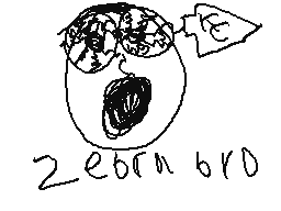 zebra broさんのプロフィール画像