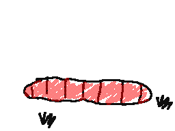 Worm