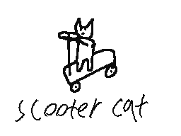 scooter cat